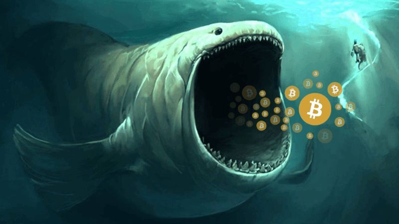 balinalar-altcoinler-ve-bitcoin