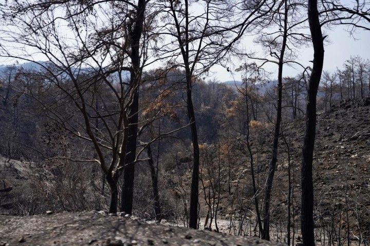 Kılıçdaroğlu muğla (14)