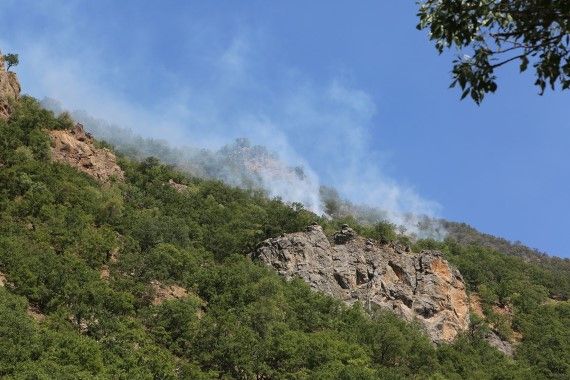 tunceli-munzur yangın