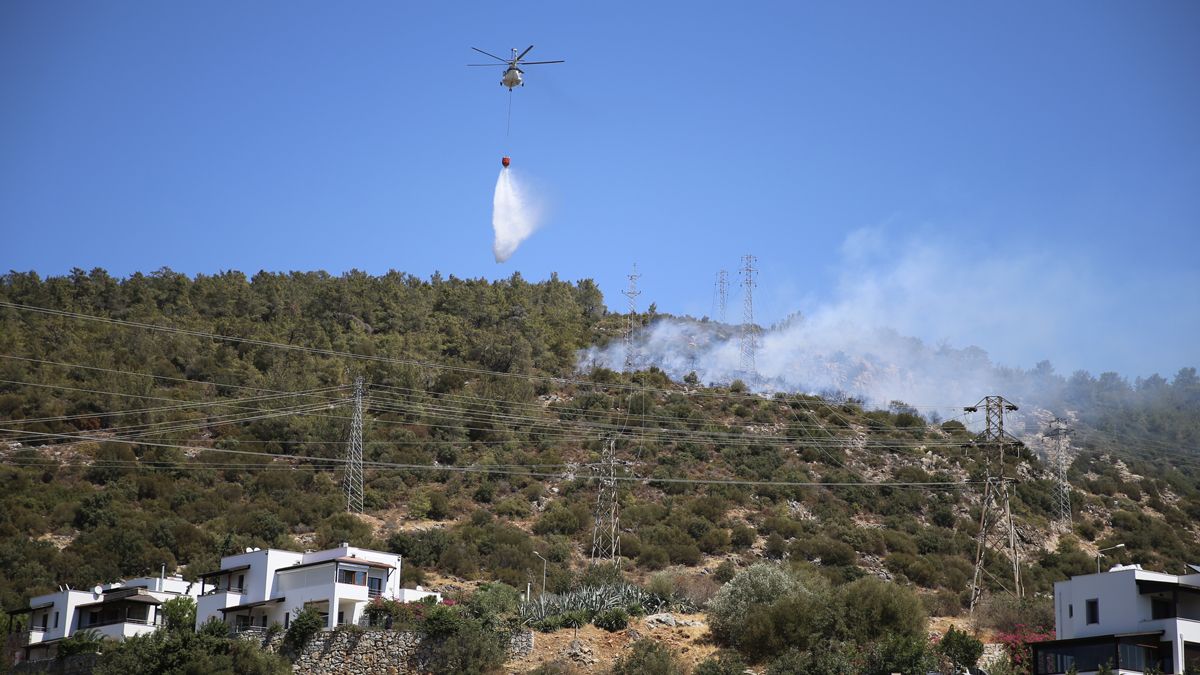 bodrum orman yangını