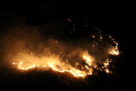 gece orman yangını