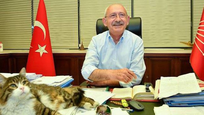 kemal kılıçdaroğlu-kedi