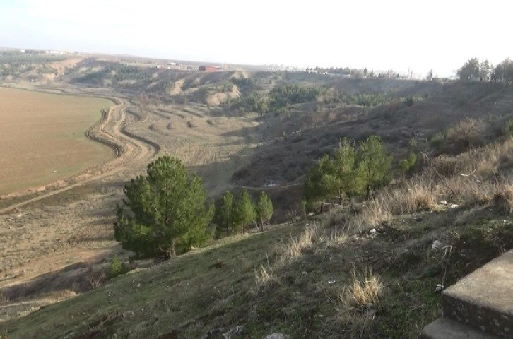 Devlet Bahçeli Hatıra Ormanı DİYARBAKIR