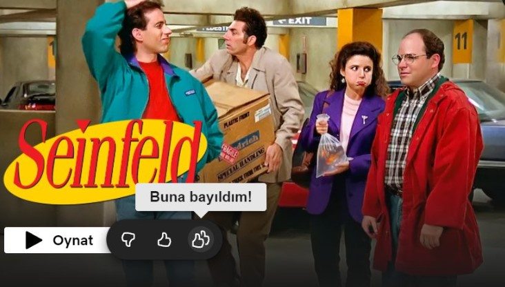 netflix buna bayıldım seinfeld