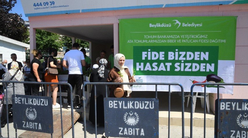 beylikdüzü belediyesi fidan dağıtım