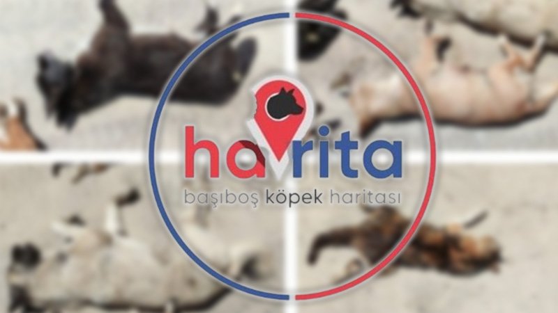 havrita