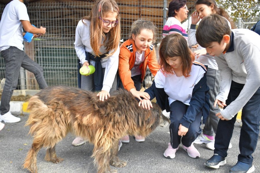 çocuklar sokak köpeği sokak hayvanları