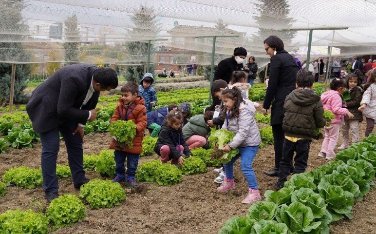 beylikdüzü yaşam bahçesi kış hasadı