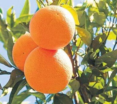 689bc16b832cc6235b4b6963