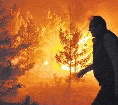 689e643bda6924d7100513f6